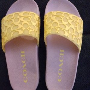Coach signature slides